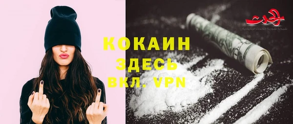 apvp Алексин