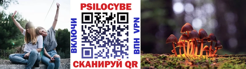 сайты даркнета официальный сайт  Пучеж  Галлюциногенные грибы ЛСД  mega маркетплейс 