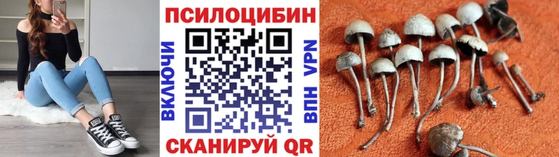 Галлюциногенные грибы Magic Shrooms Пучеж